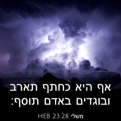 Picture 03 - משלי 23:28 HEB - אף היא כחתף תארב ובוגדים - Bible Verse Picture