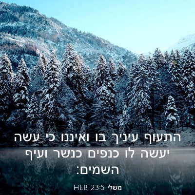 Picture 03 - משלי 23:5 HEB - התעוף עיניך בו ואיננו כי - Bible Verse Picture