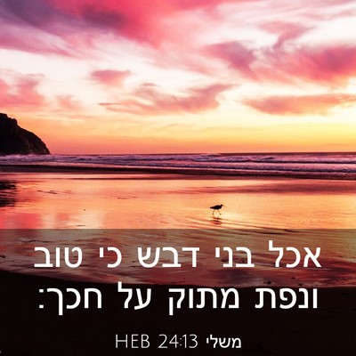 Picture 03 - משלי 24:13 HEB - אכל בני דבש כי טוב ונפת - Bible Verse Picture