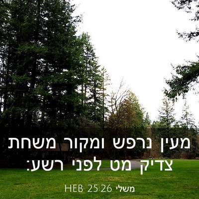 Picture 03 - משלי 25:26 HEB - מעין נרפש ומקור משחת צדיק - Bible Verse Picture