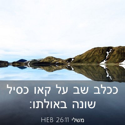 Picture 03 - משלי 26:11 HEB - ככלב שב על קאו כסיל שונה - Bible Verse Picture