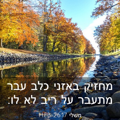 Picture 03 - משלי 26:17 HEB - מחזיק באזני כלב עבר מתעבר - Bible Verse Picture