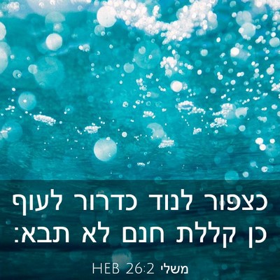 Picture 03 - משלי 26:2 HEB - כצפור לנוד כדרור לעוף כן - Bible Verse Picture