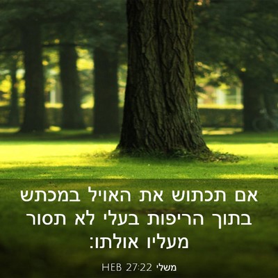 Picture 03 - משלי 27:22 HEB - אם תכתוש את האויל במכתש - Bible Verse Picture