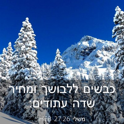 Picture 03 - משלי 27:26 HEB - כבשים ללבושך ומחיר שדה - Bible Verse Picture
