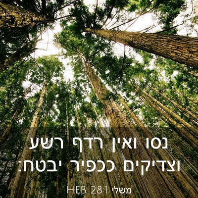 Picture 03 - משלי 28:1 HEB - נסו ואין רדף רשע וצדיקים - Bible Verse Picture