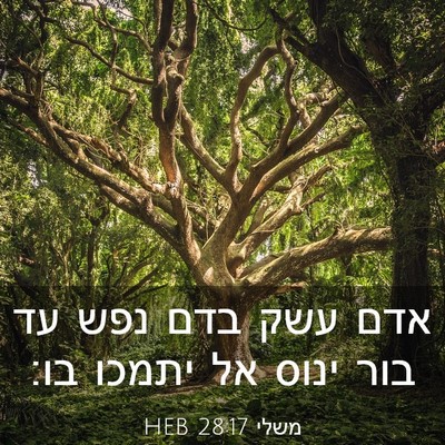 Picture 03 - משלי 28:17 HEB - אדם עשק בדם נפש עד בור ינוס - Bible Verse Picture