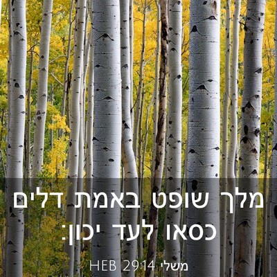 Picture 03 - משלי 29:14 HEB - מלך שופט באמת דלים כסאו לעד - Bible Verse Picture