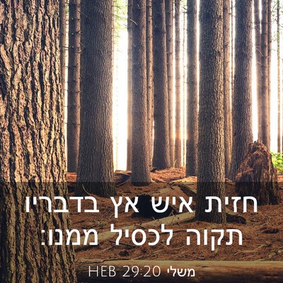 Picture 03 - משלי 29:20 HEB - חזית איש אץ בדבריו תקוה - Bible Verse Picture