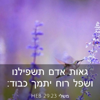 Picture 03 - משלי 29:23 HEB - גאות אדם תשפילנו ושפל רוח - Bible Verse Picture
