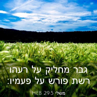 Picture 03 - משלי 29:5 HEB - גבר מחליק על רעהו רשת פורש - Bible Verse Picture