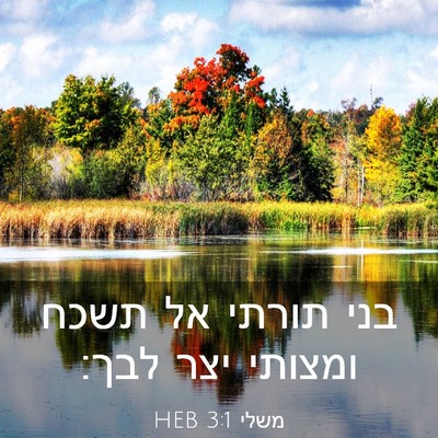 Picture 03 - משלי 3:1 HEB - בני תורתי אל תשכח ומצותי - Bible Verse Picture