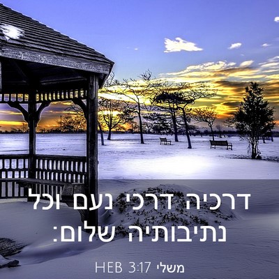 Picture 03 - משלי 3:17 HEB - דרכיה דרכי נעם וכל - Bible Verse Picture