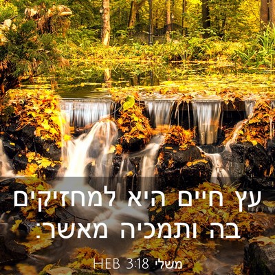 Picture 03 - משלי 3:18 HEB - עץ חיים היא למחזיקים בה - Bible Verse Picture
