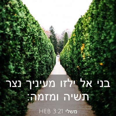 Picture 03 - משלי 3:21 HEB - בני אל ילזו מעיניך נצר תשיה - Bible Verse Picture