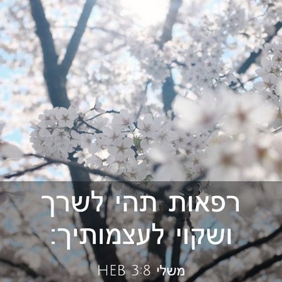 Picture 03 - משלי 3:8 HEB - רפאות תהי לשרך ושקוי - Bible Verse Picture