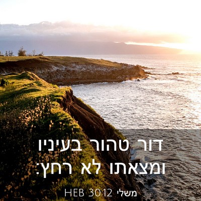Picture 03 - משלי 30:12 HEB - דור טהור בעיניו ומצאתו לא - Bible Verse Picture