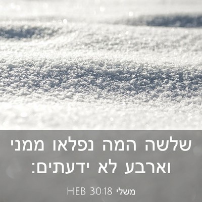 Picture 03 - משלי 30:18 HEB - שלשה המה נפלאו ממני וארבע - Bible Verse Picture