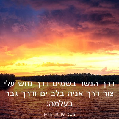 Picture 03 - משלי 30:19 HEB - דרך הנשר בשמים דרך נחש עלי - Bible Verse Picture