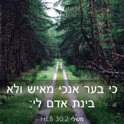 Picture 03 - משלי 30:2 HEB - כי בער אנכי מאיש ולא בינת - Bible Verse Picture