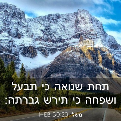 Picture 03 - משלי 30:23 HEB - תחת שנואה כי תבעל ושפחה כי - Bible Verse Picture