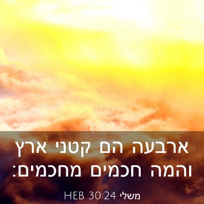Picture 03 - משלי 30:24 HEB - ארבעה הם קטני ארץ והמה - Bible Verse Picture