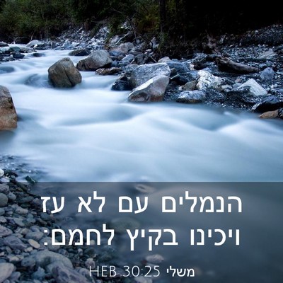 Picture 03 - משלי 30:25 HEB - הנמלים עם לא עז ויכינו בקיץ - Bible Verse Picture