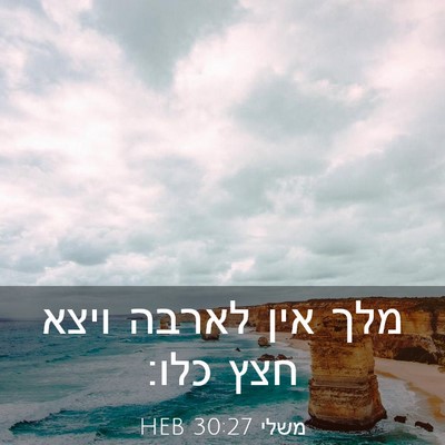 Picture 03 - משלי 30:27 HEB - מלך אין לארבה ויצא חצץ - Bible Verse Picture