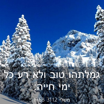 Picture 03 - משלי 31:12 HEB - גמלתהו טוב ולא רע כל ימי - Bible Verse Picture