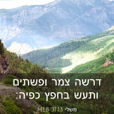 Picture 03 - משלי 31:13 HEB - דרשה צמר ופשתים ותעש בחפץ - Bible Verse Picture