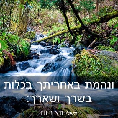 Picture 03 - משלי 5:11 HEB - ונהמת באחריתך בכלות בשרך - Bible Verse Picture