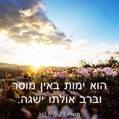 Picture 03 - משלי 5:23 HEB - הוא ימות באין מוסר וברב - Bible Verse Picture