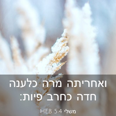 Picture 03 - משלי 5:4 HEB - ואחריתה מרה כלענה חדה כחרב - Bible Verse Picture