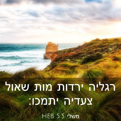 Picture 03 - משלי 5:5 HEB - רגליה ירדות מות שאול צעדיה - Bible Verse Picture