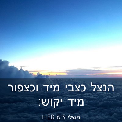 Picture 03 - משלי 6:5 HEB - הנצל כצבי מיד וכצפור מיד - Bible Verse Picture