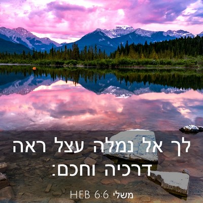 Picture 03 - משלי 6:6 HEB - לך אל נמלה עצל ראה דרכיה - Bible Verse Picture