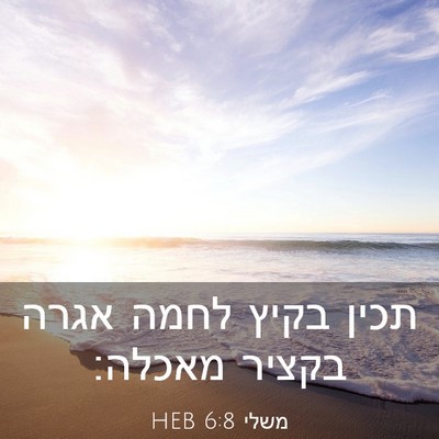 Picture 03 - משלי 6:8 HEB - תכין בקיץ לחמה אגרה בקציר - Bible Verse Picture