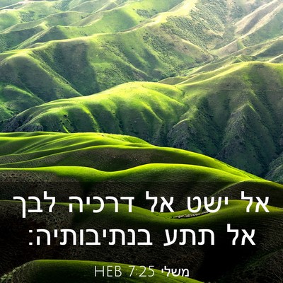 Picture 03 - משלי 7:25 HEB - אל ישט אל דרכיה לבך אל תתע - Bible Verse Picture