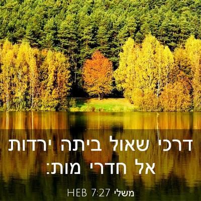 Picture 03 - משלי 7:27 HEB - דרכי שאול ביתה ירדות אל - Bible Verse Picture