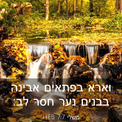 Picture 03 - משלי 7:7 HEB - וארא בפתאים אבינה בבנים - Bible Verse Picture