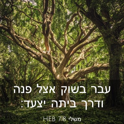 Picture 03 - משלי 7:8 HEB - עבר בשוק אצל פנה ודרך ביתה - Bible Verse Picture