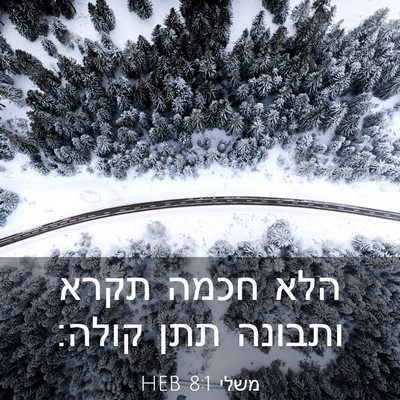 Picture 03 - משלי 8:1 HEB - הלא חכמה תקרא ותבונה תתן - Bible Verse Picture