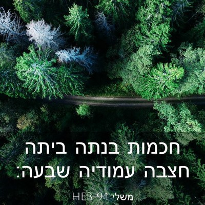 Picture 03 - משלי 9:1 HEB - חכמות בנתה ביתה חצבה - Bible Verse Picture