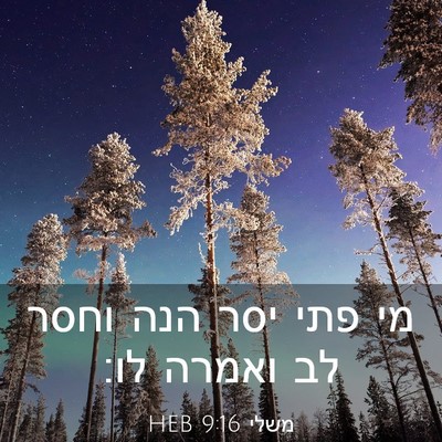 Picture 03 - משלי 9:16 HEB - מי פתי יסר הנה וחסר לב - Bible Verse Picture