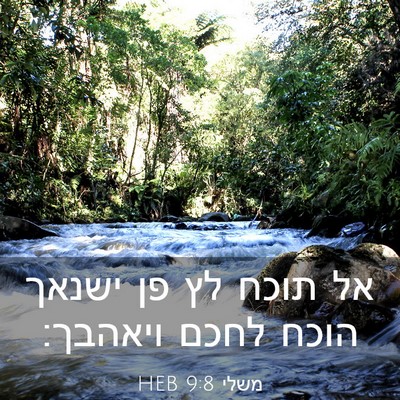 Picture 03 - משלי 9:8 HEB - אל תוכח לץ פן ישנאך הוכח - Bible Verse Picture
