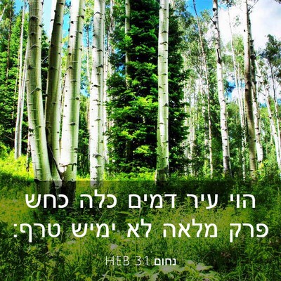 Picture 03 - נחום 3:1 HEB - הוי עיר דמים כלה כחש פרק - Bible Verse Picture