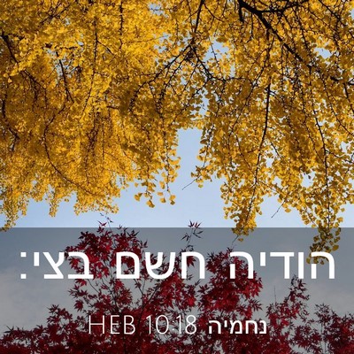 Picture 03 - נחמיה 10:18 HEB - הודיה חשם - Bible Verse Picture
