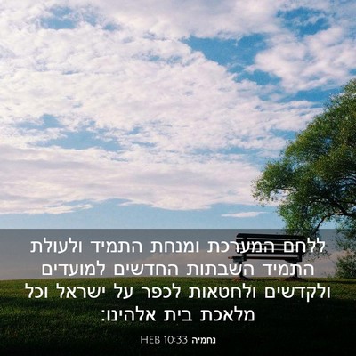 Picture 03 - נחמיה 10:33 HEB - ללחם המערכת ומנחת התמיד - Bible Verse Picture