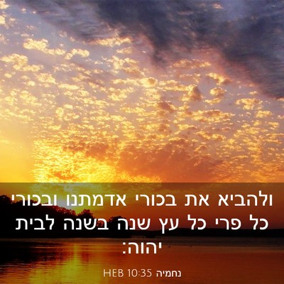 Picture 03 - נחמיה 10:35 HEB - ולהביא את בכורי אדמתנו - Bible Verse Picture