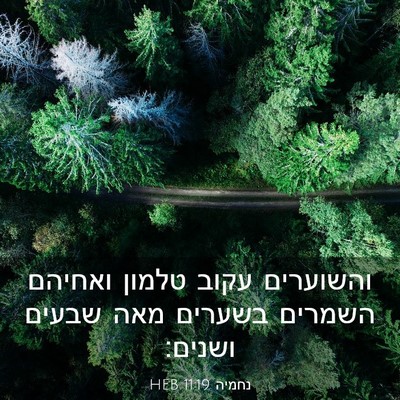 Picture 03 - נחמיה 11:19 HEB - והשוערים עקוב טלמון ואחיהם - Bible Verse Picture